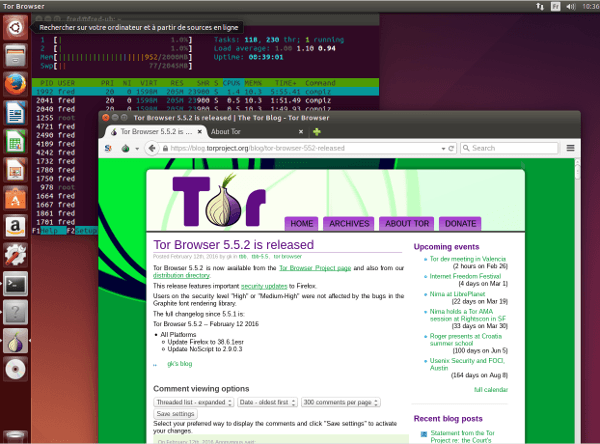 Как установить tor browser на linux mint