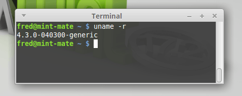 linuxmint-kernel43
