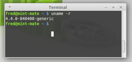 kernel-44-lts-linux