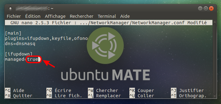 ubuntu networmanager edit 03